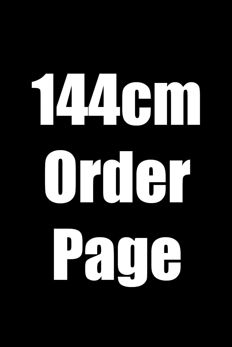 Elsa Babe Silicone Doll