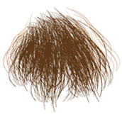 Piper Doll Order Page Pubic Hair Option